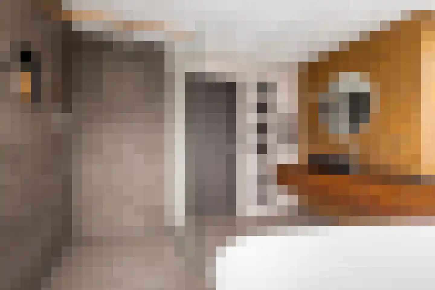 Goutumerdyk 6 Goutum thumbnail 32