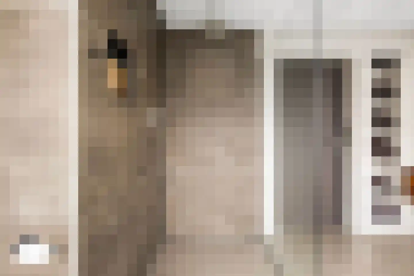 Goutumerdyk 6 Goutum thumbnail 33