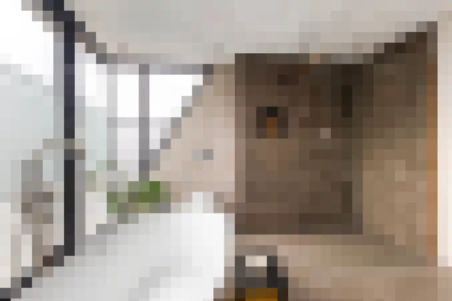 Goutumerdyk 6 Goutum thumbnail 34