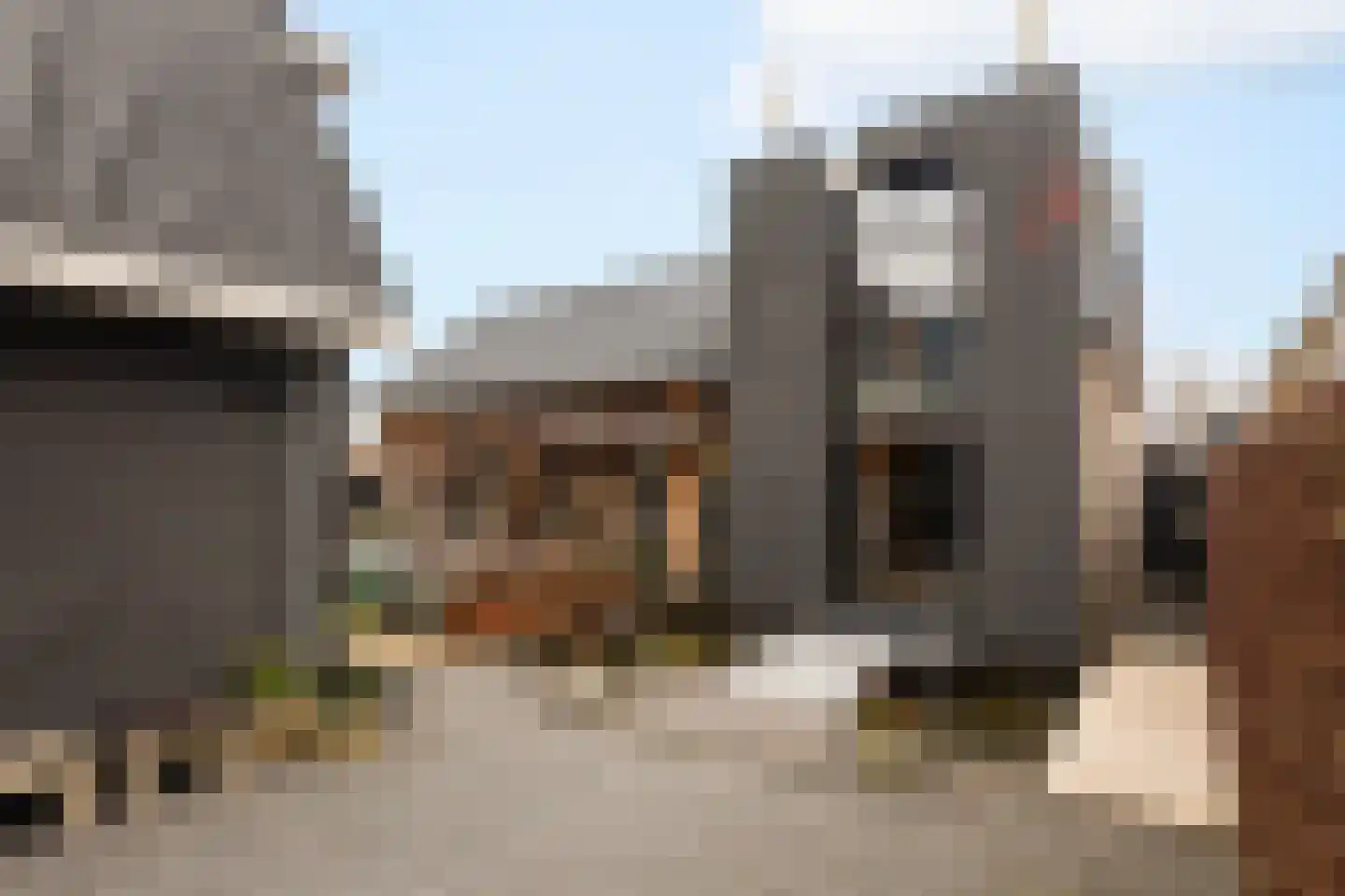 Goutumerdyk 6 Goutum thumbnail 37