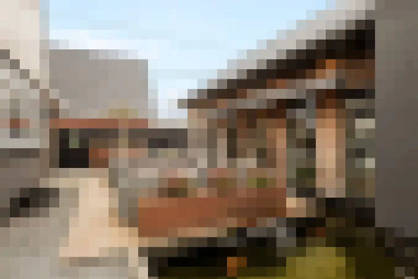 Goutumerdyk 6 Goutum thumbnail 38