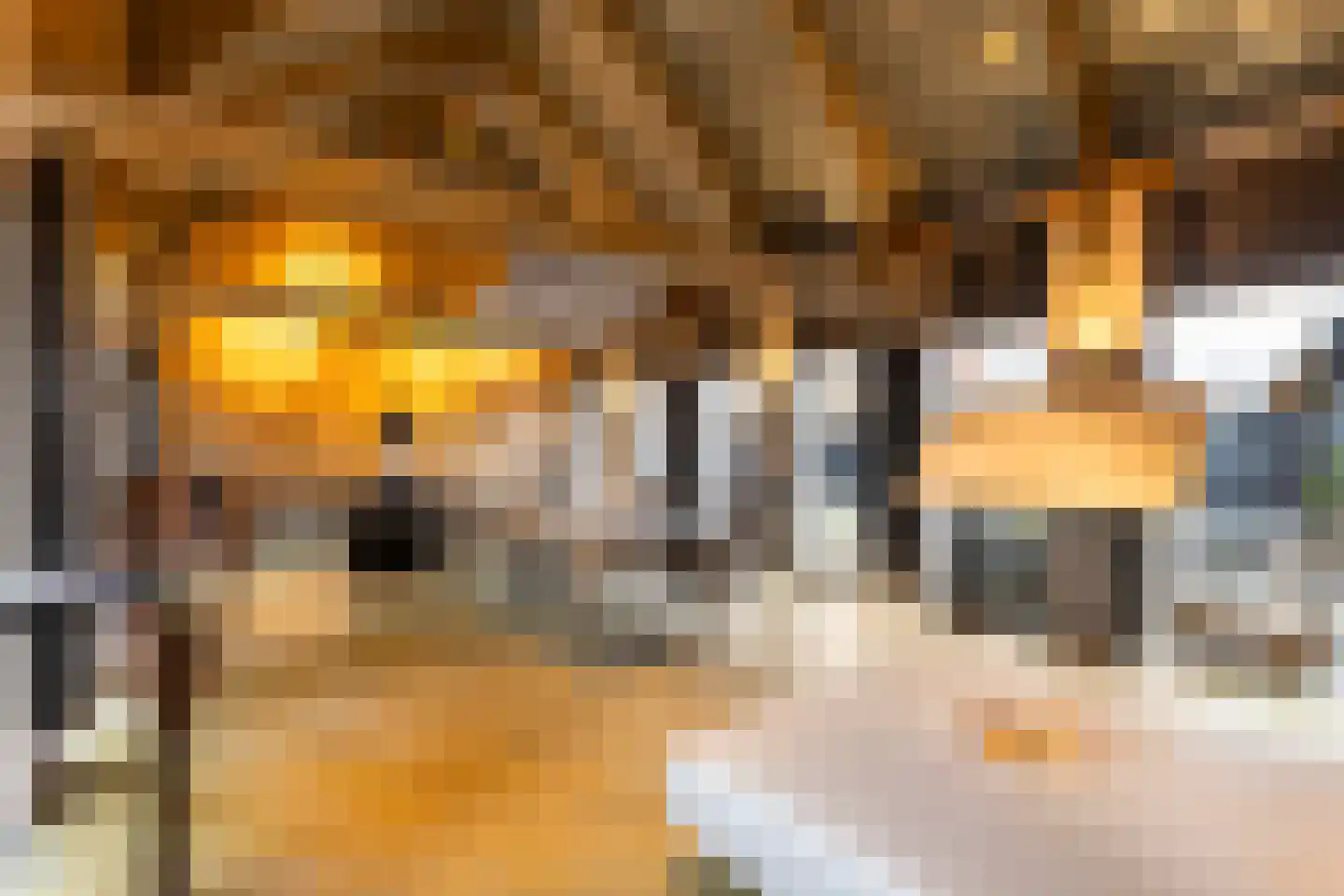 Goutumerdyk 6 Goutum thumbnail 4