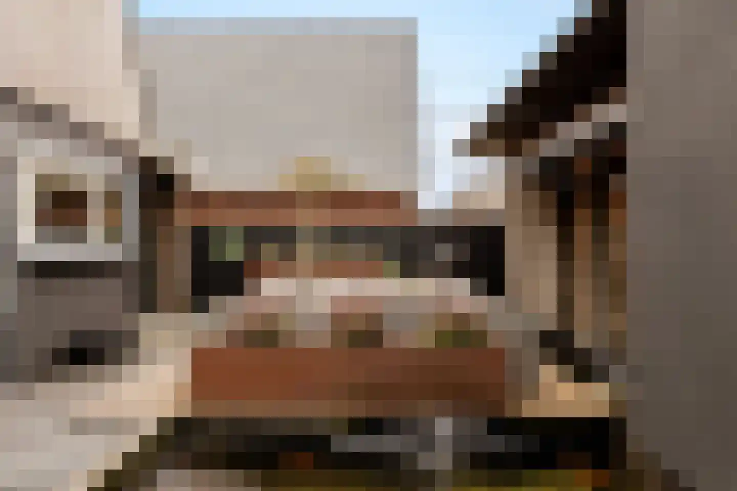 Goutumerdyk 6 Goutum thumbnail 40