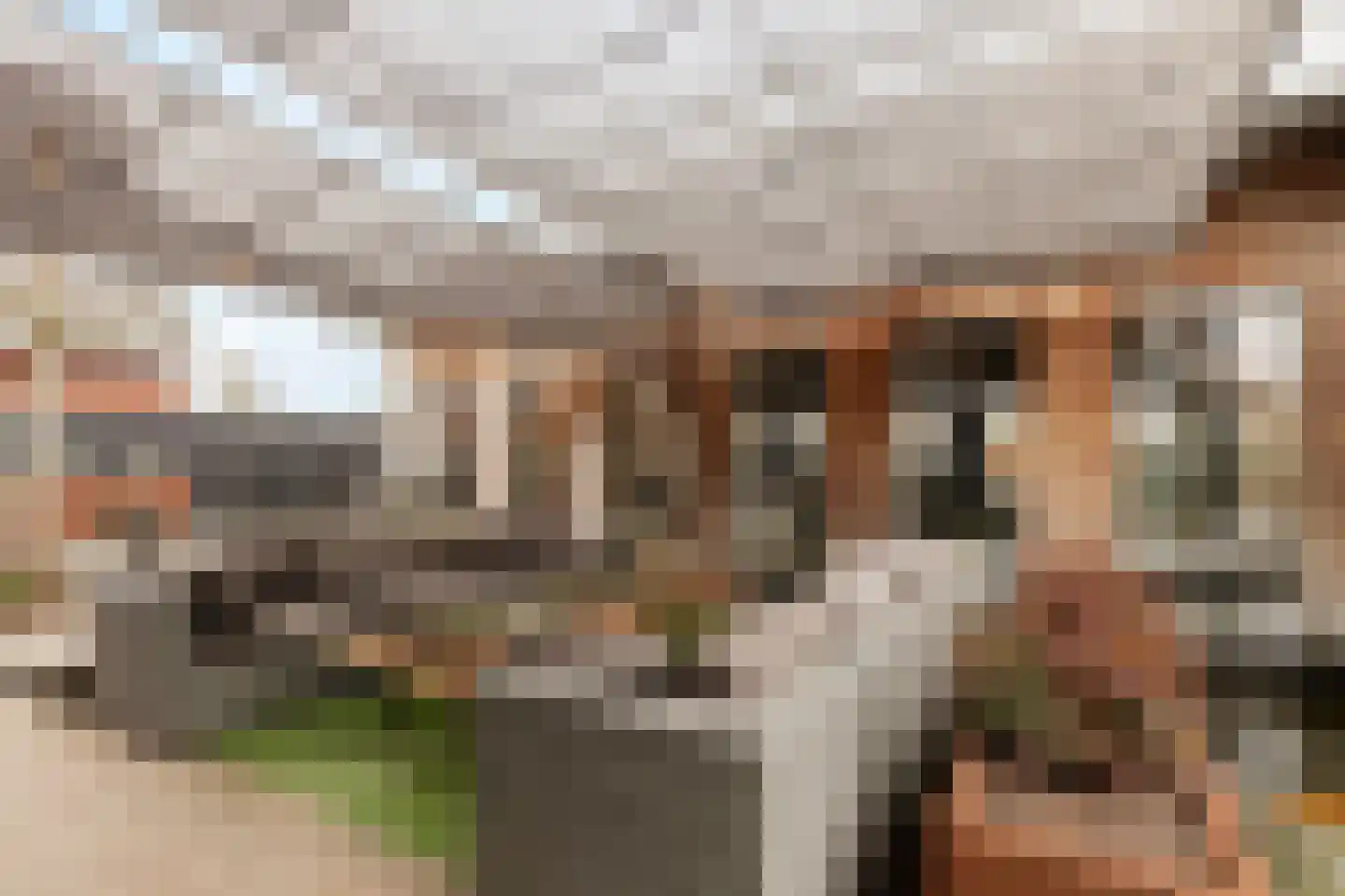 Goutumerdyk 6 Goutum thumbnail 41