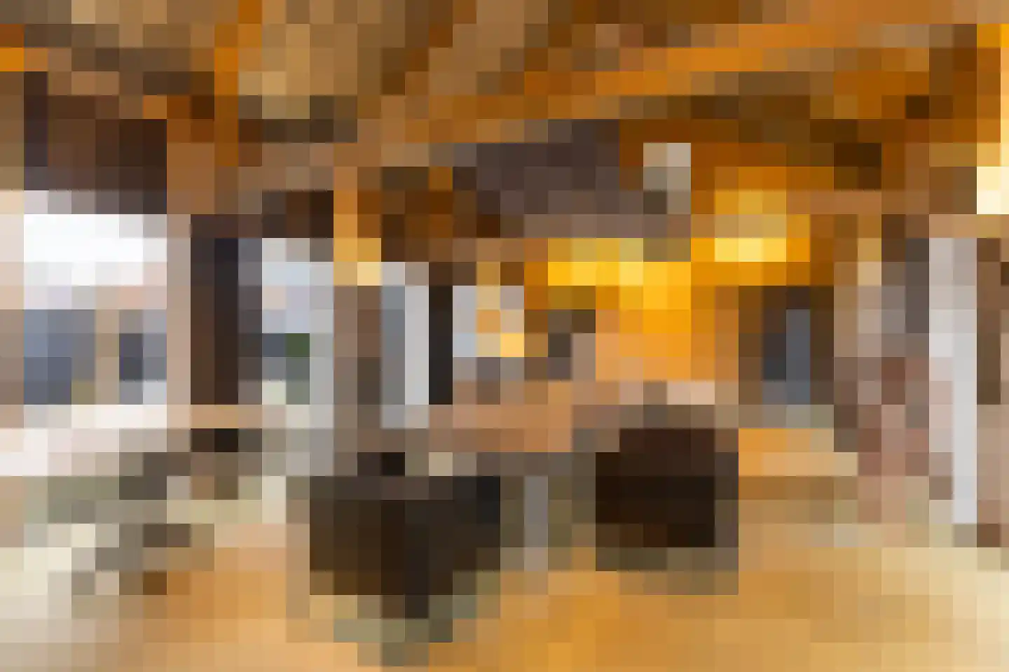 Goutumerdyk 6 Goutum thumbnail 46