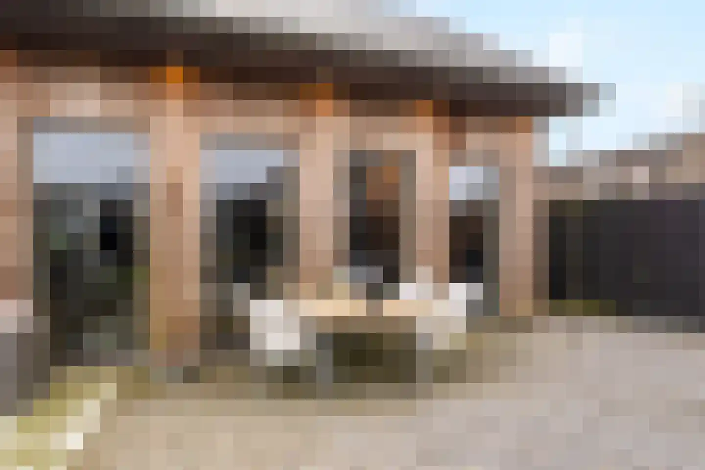 Goutumerdyk 6 Goutum thumbnail 51