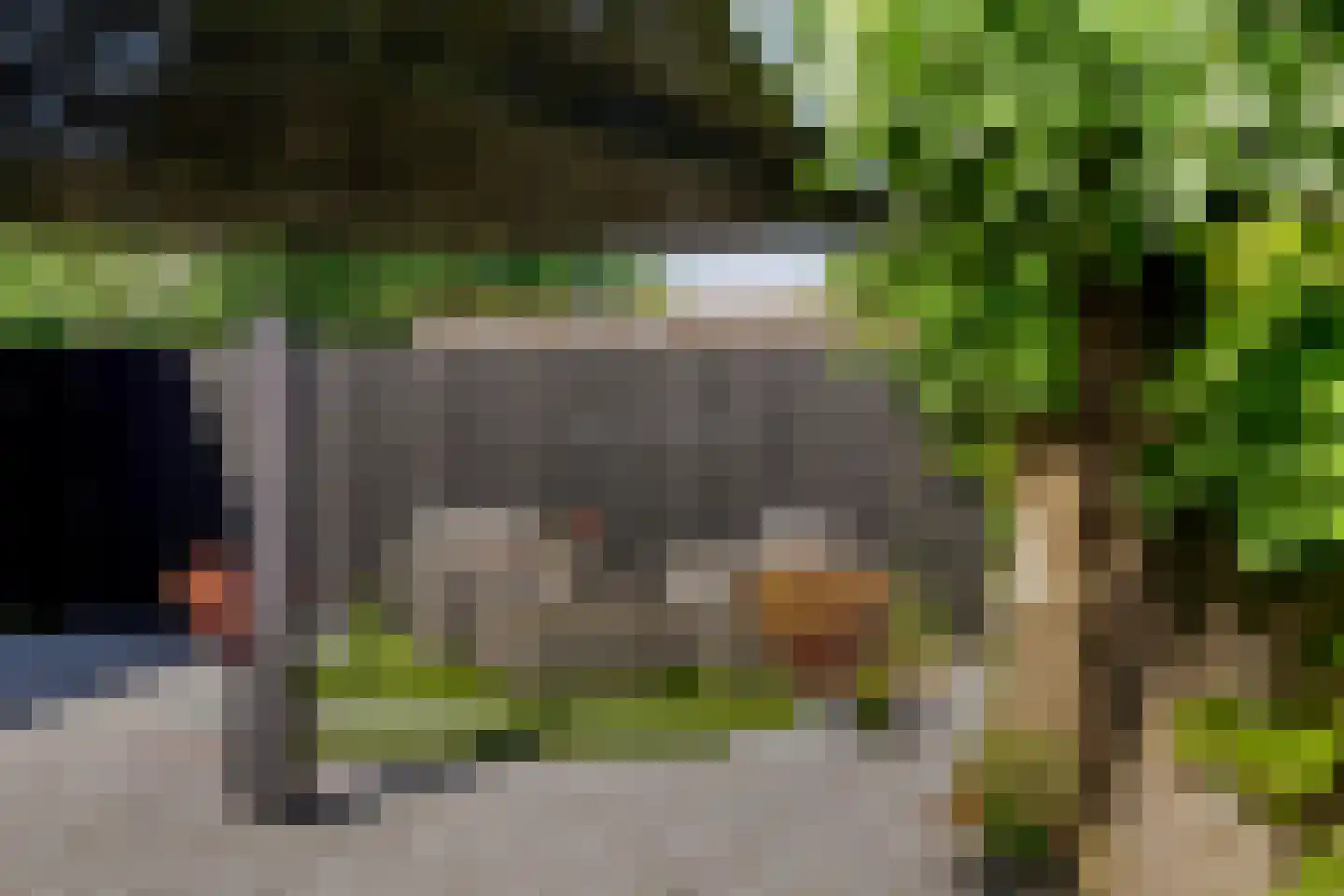 Goutumerdyk 6 Goutum thumbnail 52