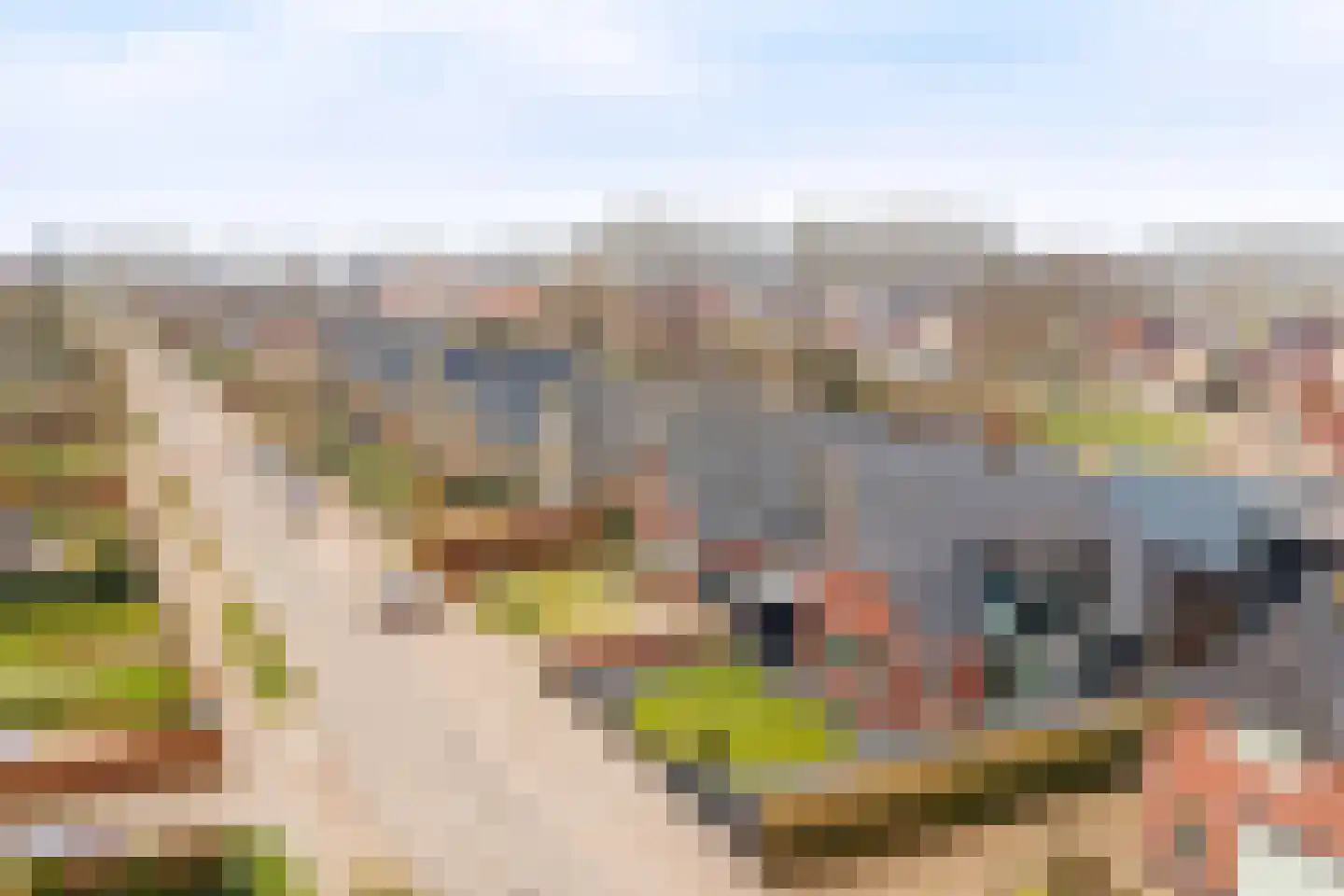 Goutumerdyk 6 Goutum thumbnail 56