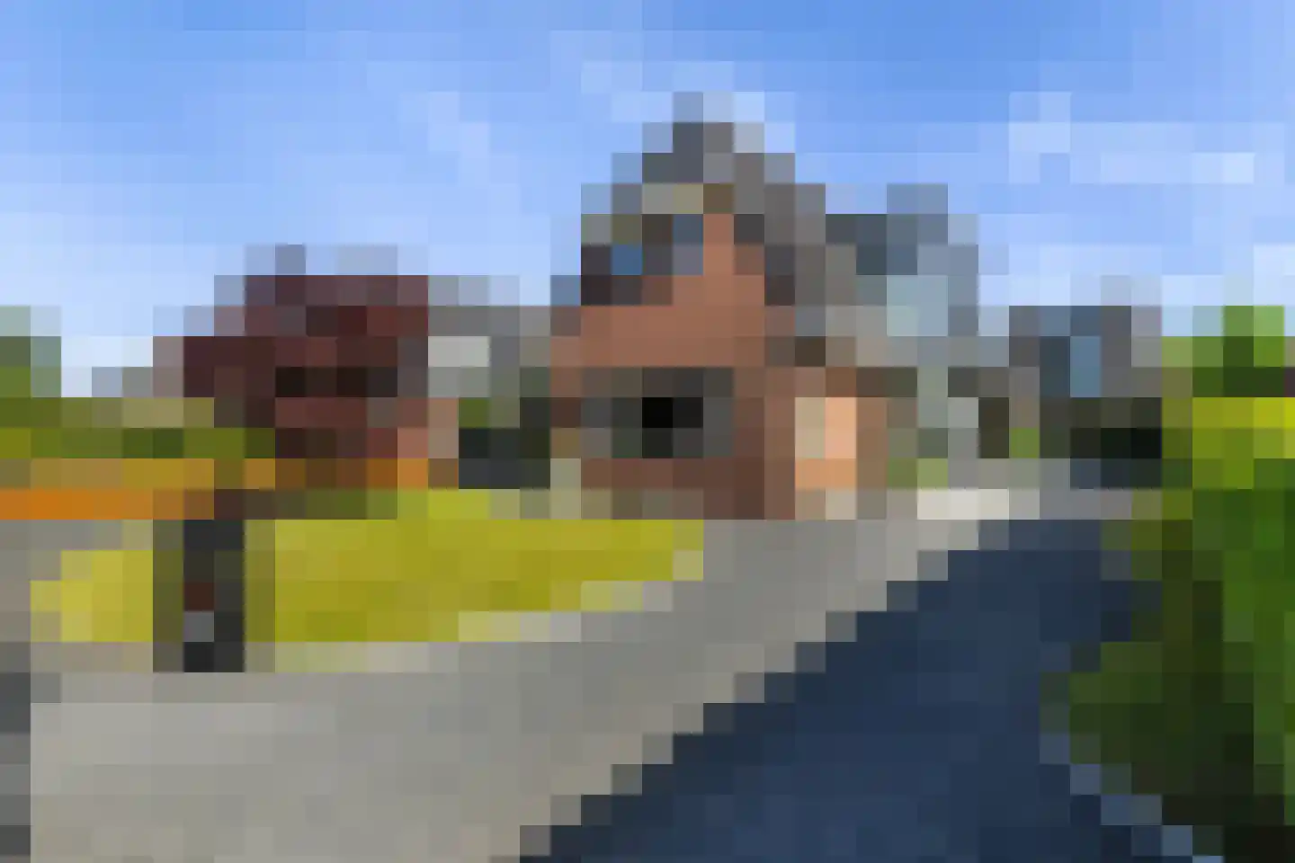 Goutumerdyk 6 Goutum thumbnail 58