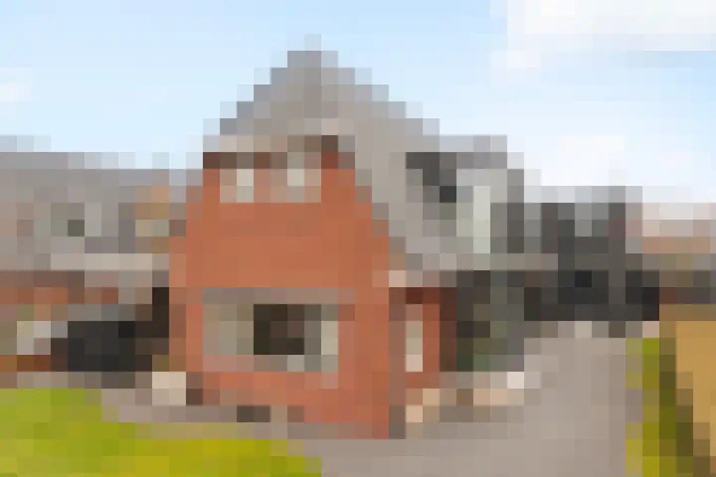 Goutumerdyk 6 Goutum thumbnail 60