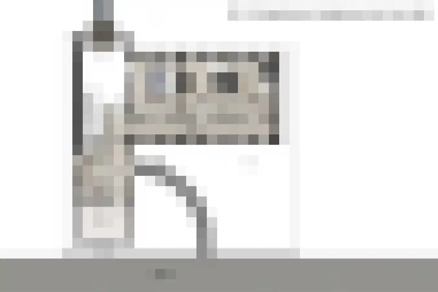 Goutumerdyk 6 Goutum thumbnail 69