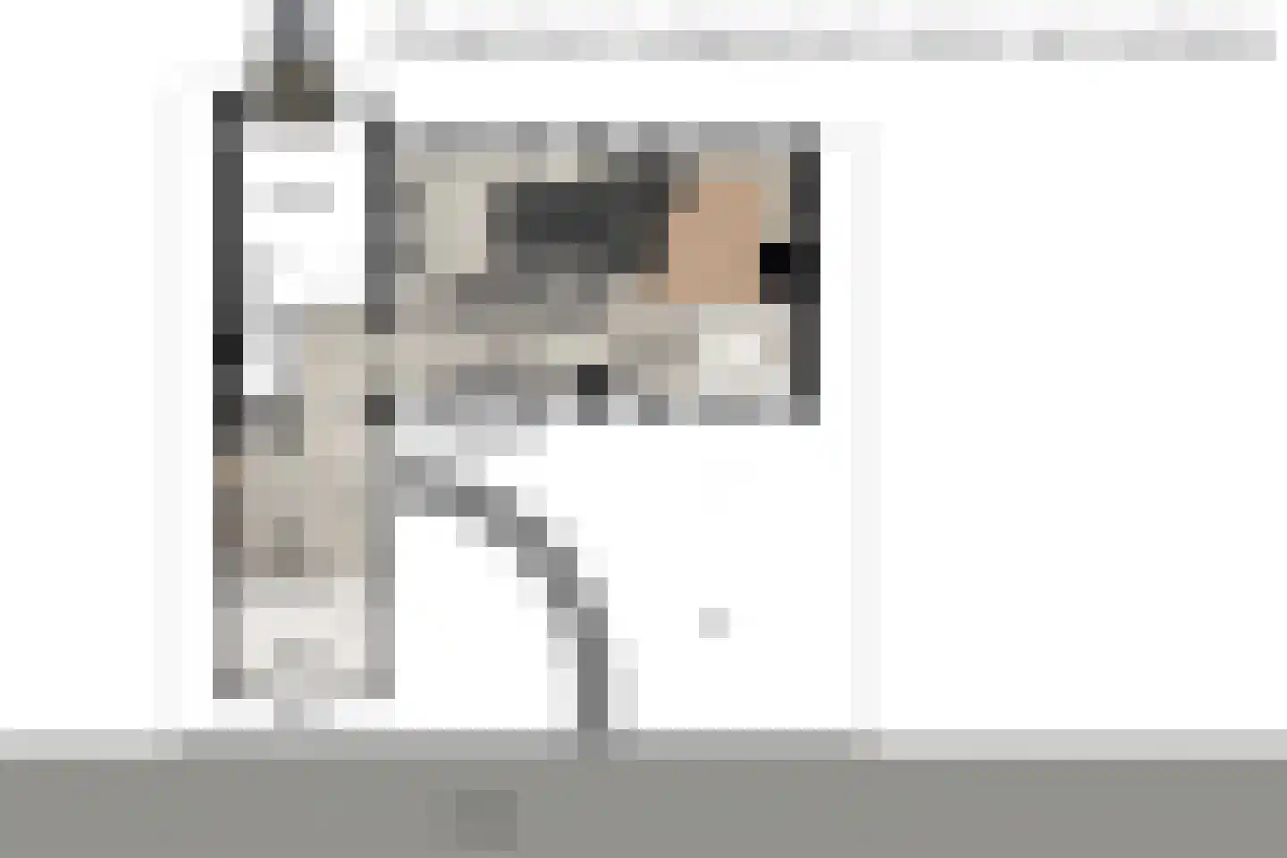 Goutumerdyk 6 Goutum thumbnail 71