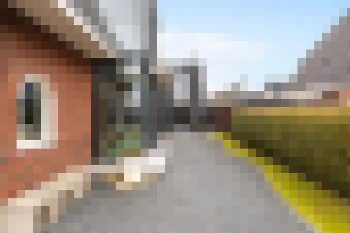 Goutumerdyk 6 Goutum thumbnail 8