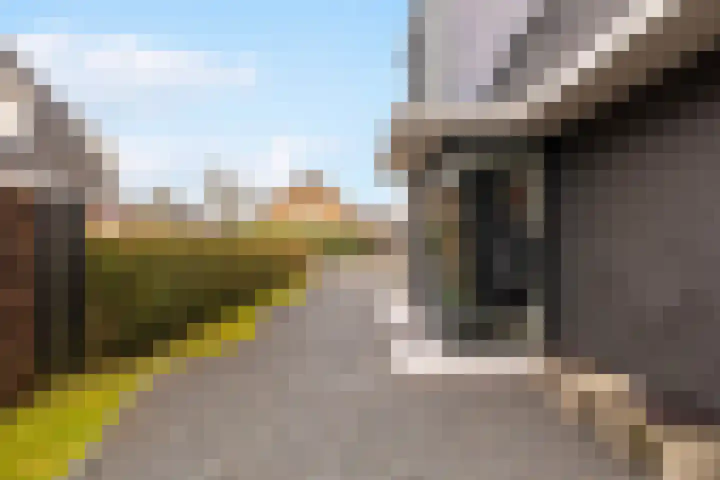 Goutumerdyk 6 Goutum thumbnail 9