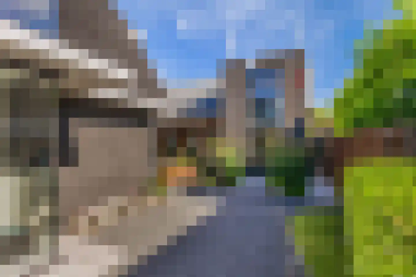 Goutumerdyk 6 Goutum thumbnail 9
