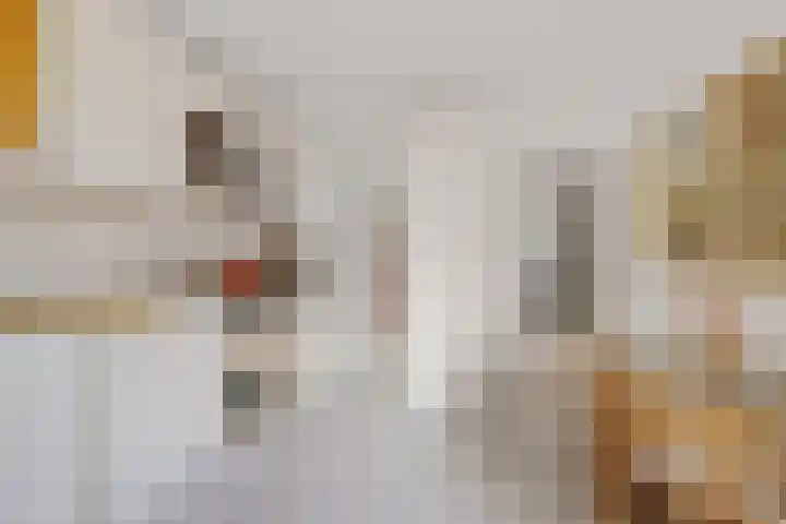 Goutumerdyk 67 Goutum thumbnail 22