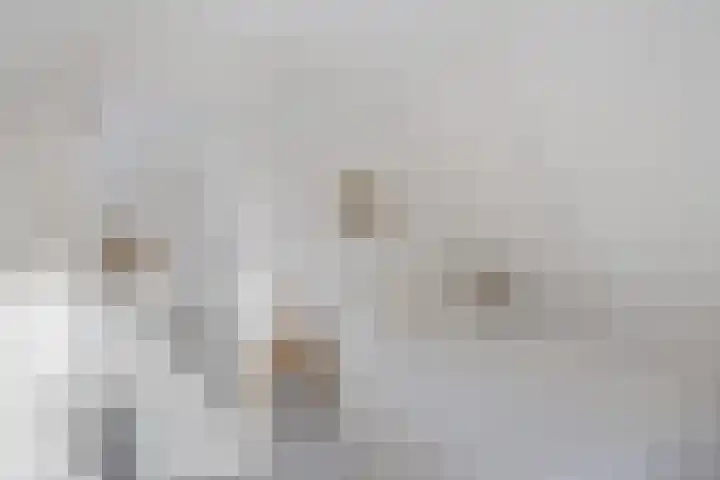 Goutumerdyk 67 Goutum thumbnail 29