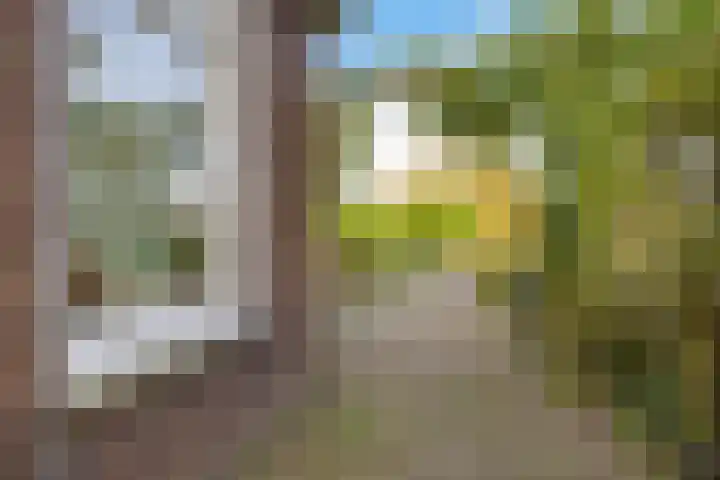 Goutumerdyk 67 Goutum thumbnail 34