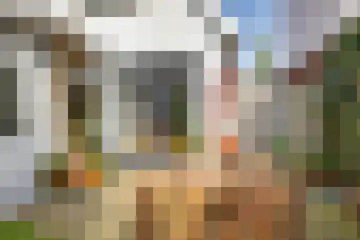 Goutumerdyk 67 Goutum thumbnail 37