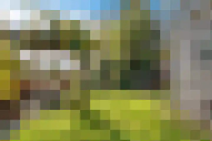 Goutumerdyk 67 Goutum thumbnail 39