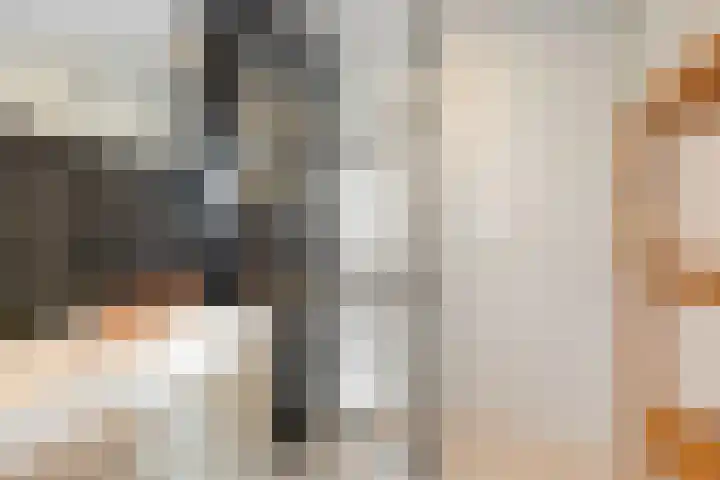 Goutumerdyk 67 Goutum thumbnail 4