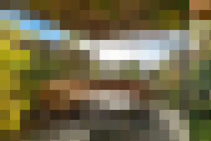 Goutumerdyk 67 Goutum thumbnail 40
