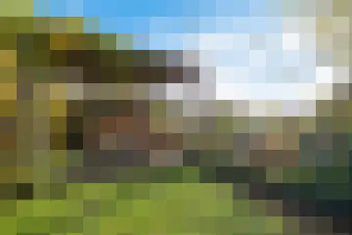 Goutumerdyk 67 Goutum thumbnail 41