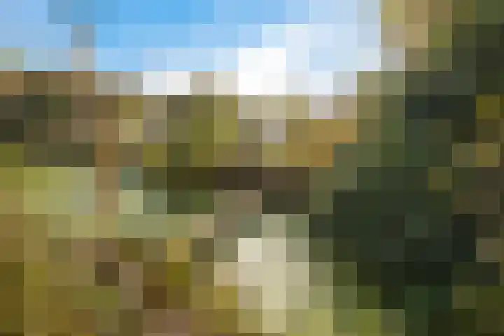 Goutumerdyk 67 Goutum thumbnail 42