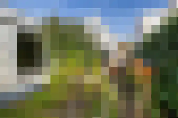 Goutumerdyk 67 Goutum thumbnail 43