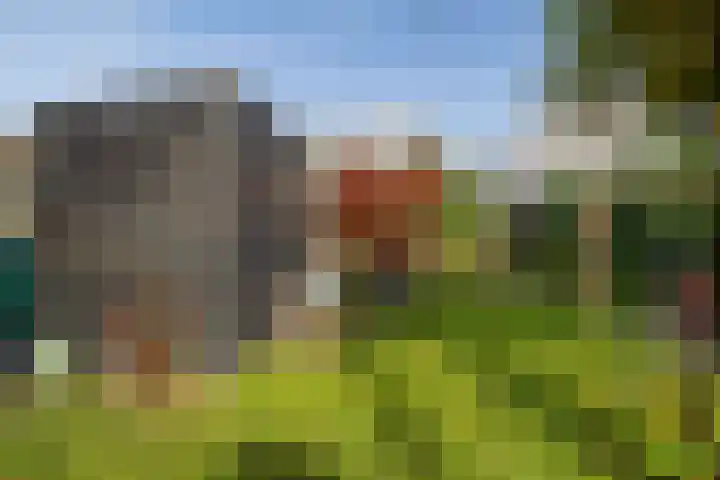 Goutumerdyk 67 Goutum thumbnail 44