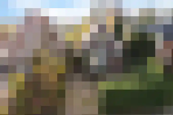 Goutumerdyk 67 Goutum thumbnail 45