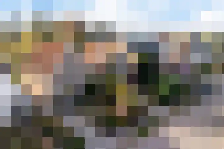 Goutumerdyk 67 Goutum thumbnail 46