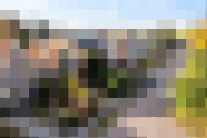 Goutumerdyk 67 Goutum thumbnail 47
