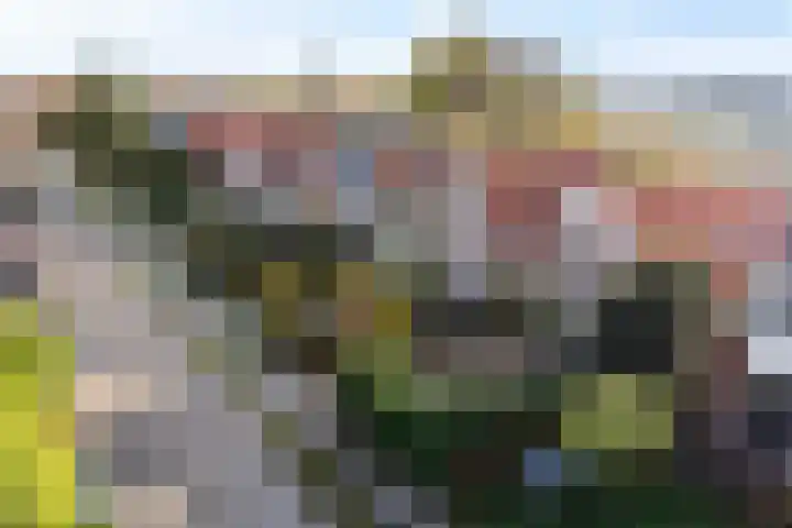 Goutumerdyk 67 Goutum thumbnail 48