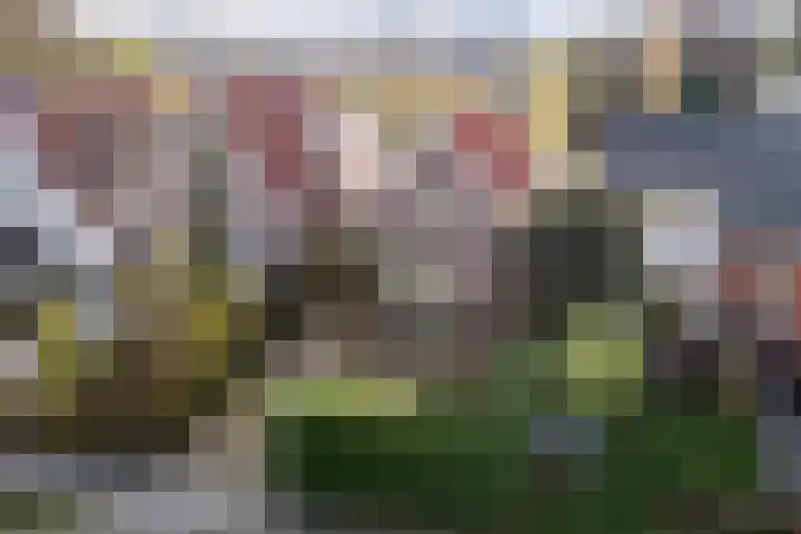 Goutumerdyk 67 Goutum thumbnail 49