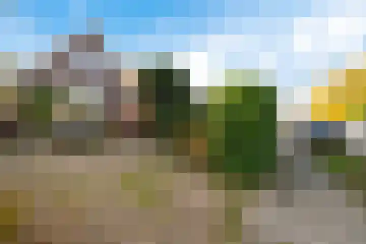 Goutumerdyk 67 Goutum thumbnail 5