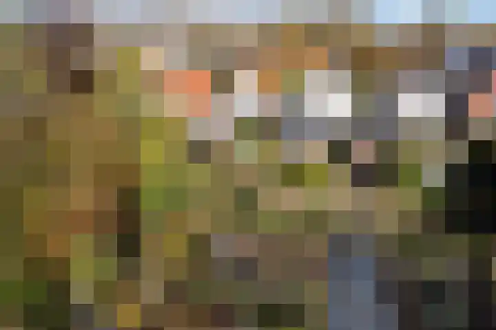 Goutumerdyk 67 Goutum thumbnail 50