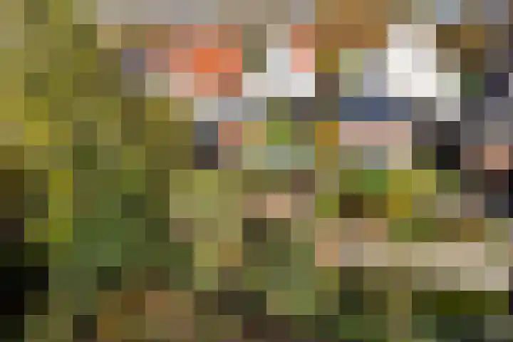 Goutumerdyk 67 Goutum thumbnail 51