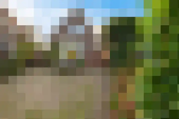 Goutumerdyk 67 Goutum thumbnail 6