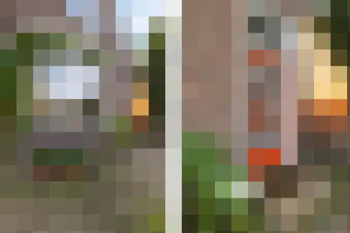 Goutumerdyk 67 Goutum thumbnail 7