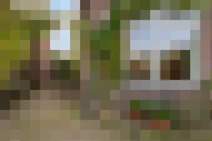 Goutumerdyk 67 Goutum thumbnail 9