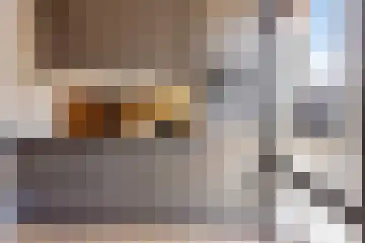 Gouvernante 27 Wijchen thumbnail 11