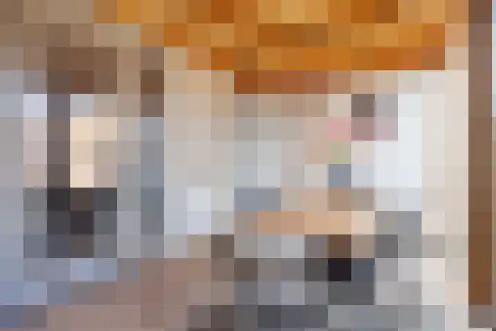 Gouvernante 27 Wijchen thumbnail 15