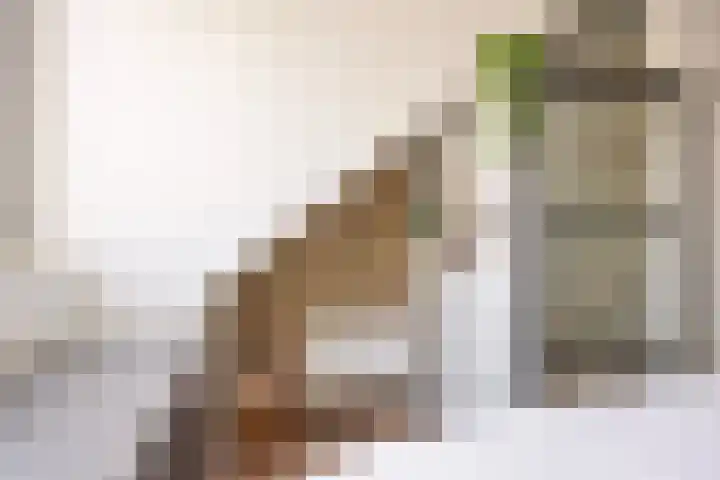 Gouvernante 27 Wijchen thumbnail 18
