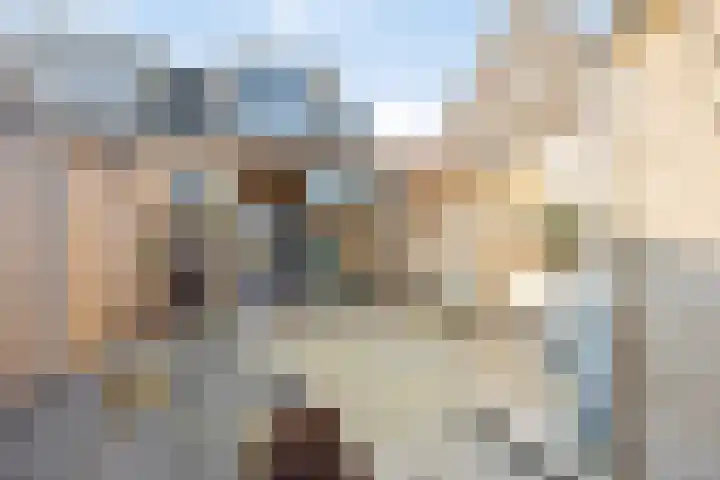 Gouvernante 27 Wijchen thumbnail 24