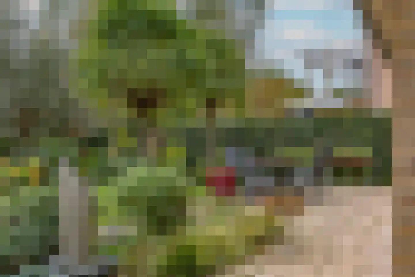 Gouvernante 27 Wijchen thumbnail 26