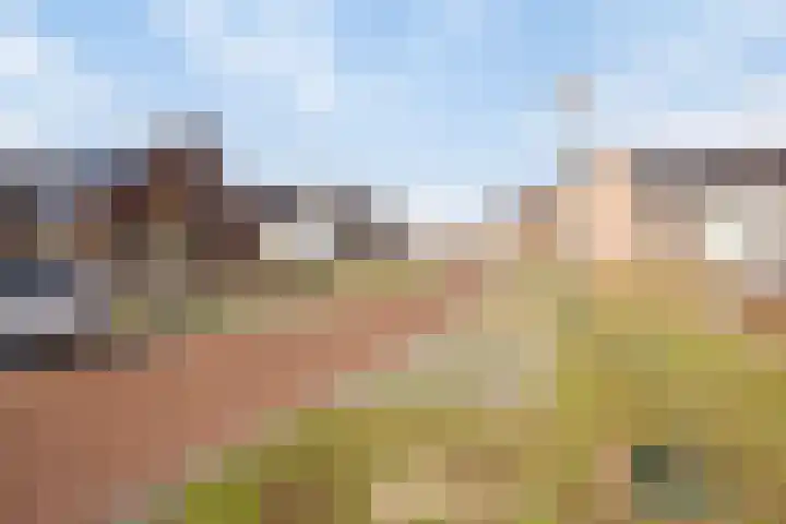 Gouvernante 27 Wijchen thumbnail 31