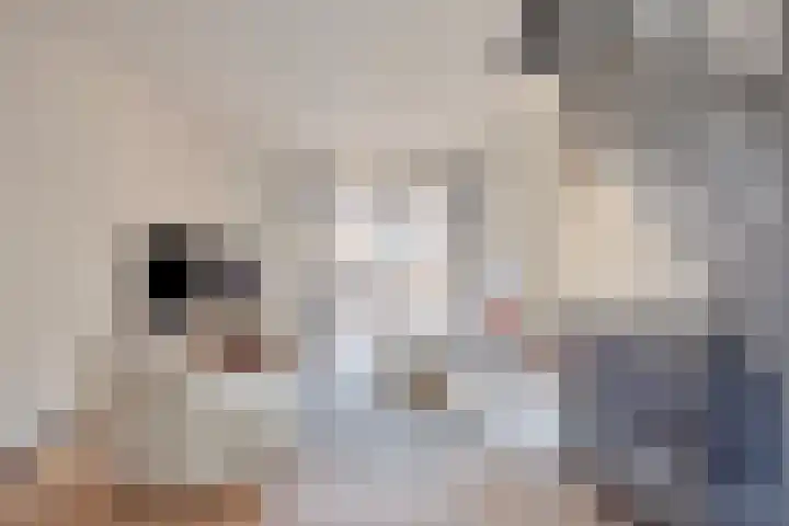 Gouvernante 27 Wijchen thumbnail 5