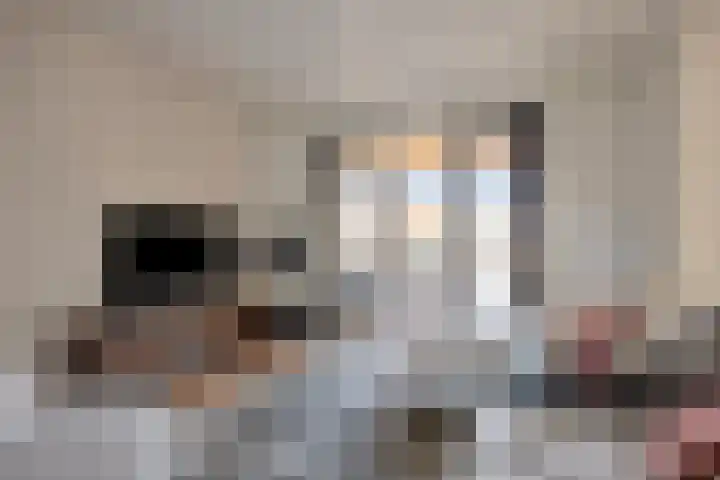 Gouvernante 27 Wijchen thumbnail 7