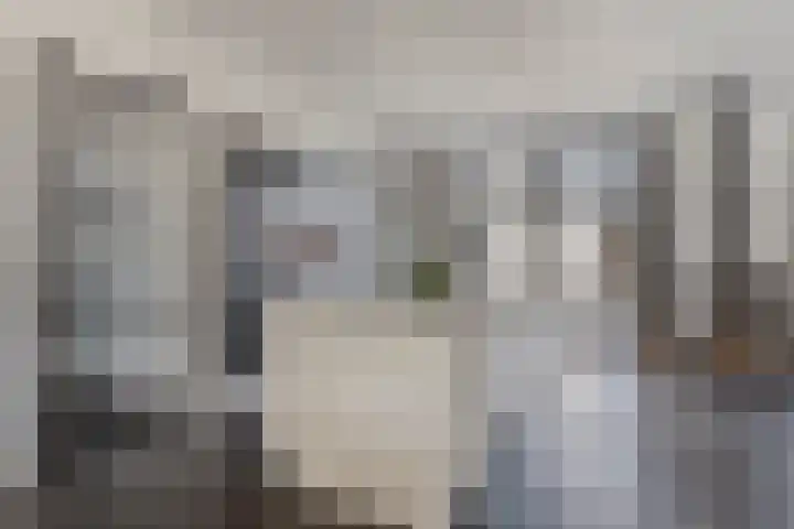 Gouvernante 27 Wijchen thumbnail 8